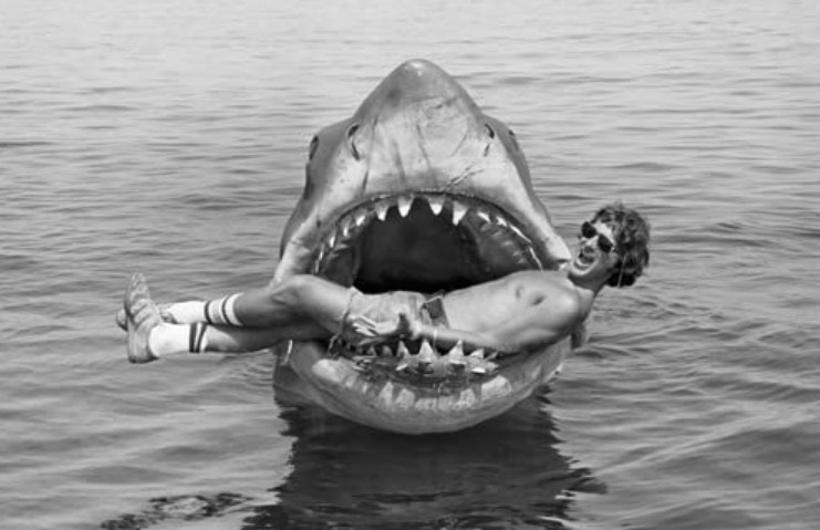 Steven Spielberg regrets Jaws movie has decimated sharks « Movie star Gossip and Film Information