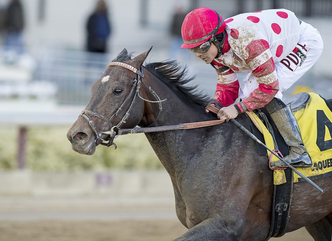 Thoughts Management Goes Out In Model In Cigar Mile