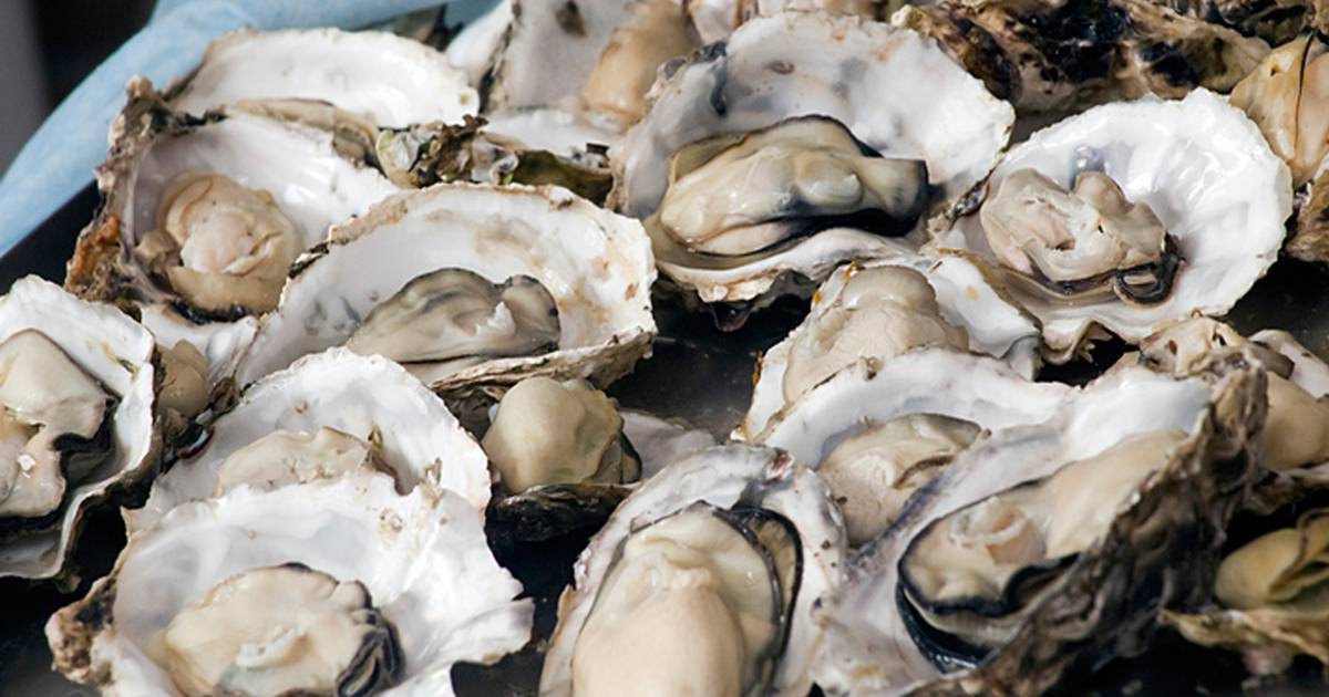 ‘Harmful constructing’ prompts cancellation of Bluff Oyster pageant