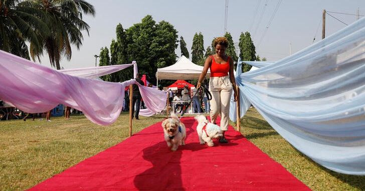 Canine present teaches Nigerians new tips about pet possession