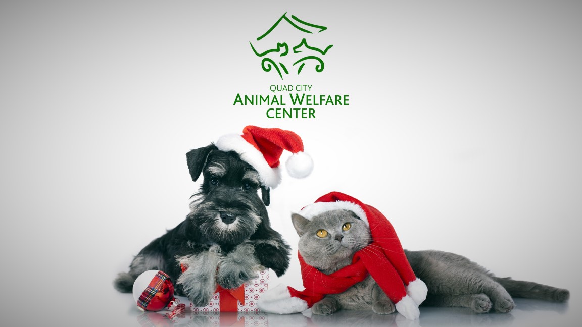 Meet Santa and assist homeless pets at Quad Metropolis Animal Welfare Heart