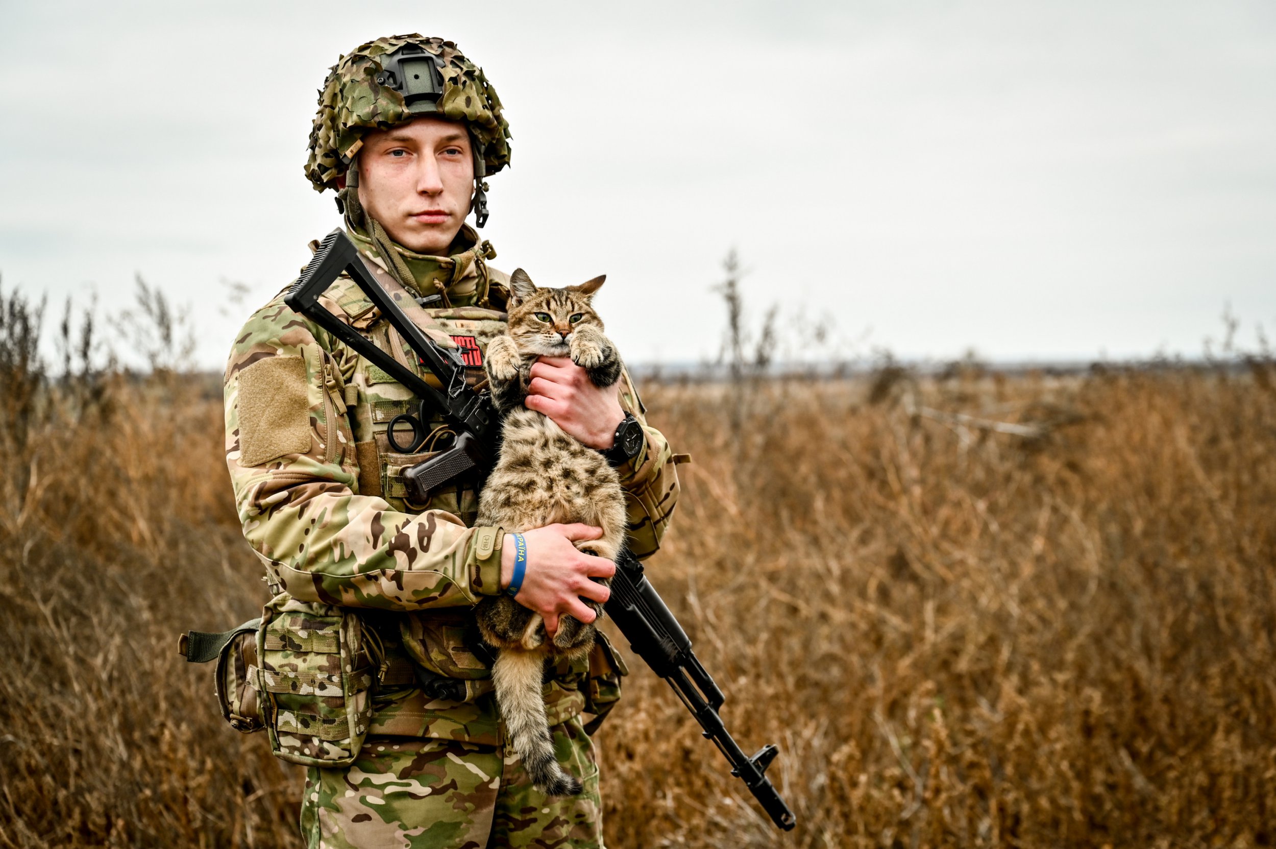 Ukraine’s pets in trenches develop into viral stars