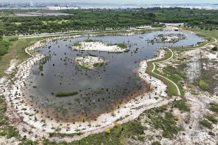 Pond with capability of fifty Olympic swimming swimming pools constructed on Jurong Island to mitigate climate-change flooding