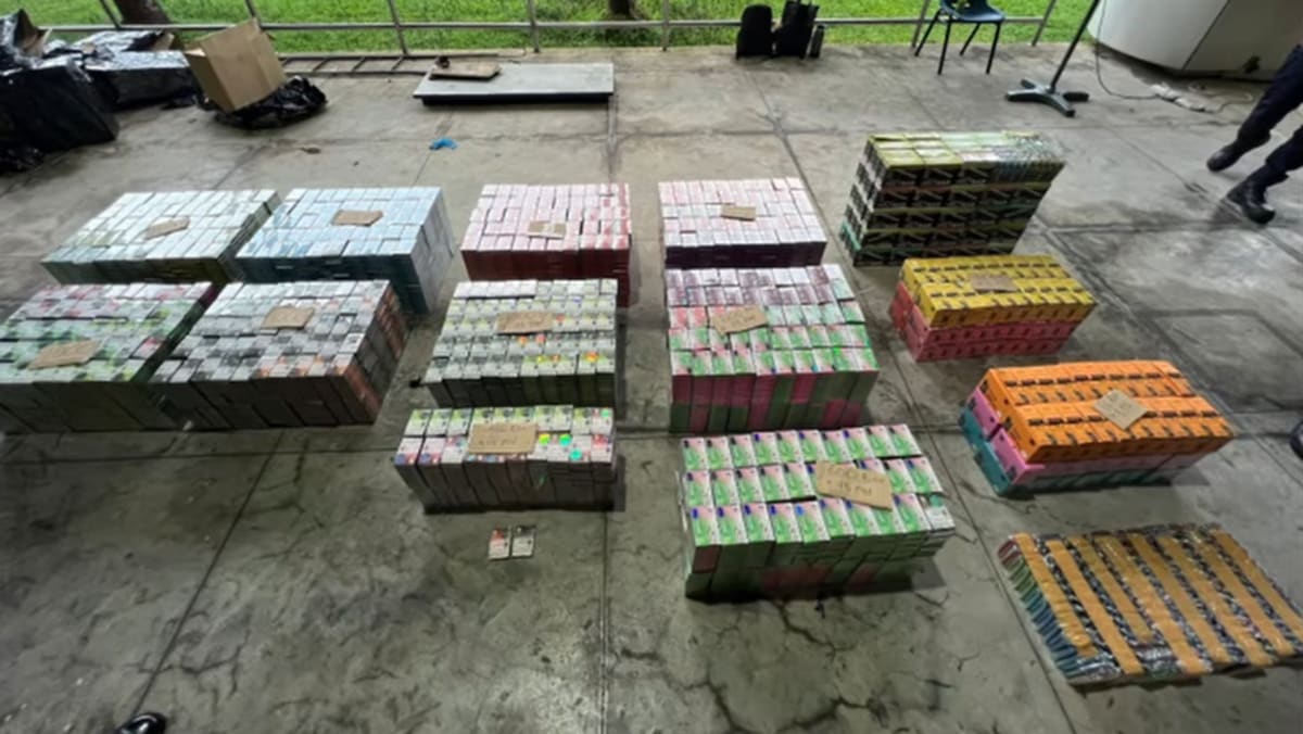 Almost 30,000 e-vaporiser merchandise seized from lorry carrying frozen rooster nuggets at Tuas Checkpoint