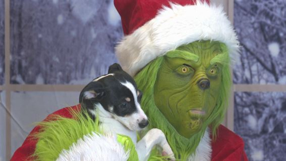 Tails have been wagging as pets cuddled up with the Grinch for festive photographs as we speak – KIMA CBS 29