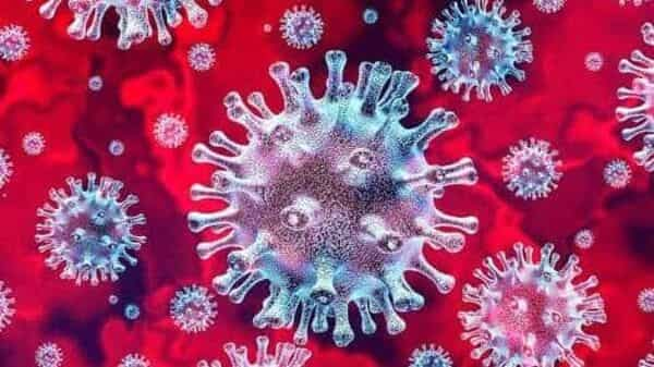 Coronavirus Dwell Updates: BF.7 variant not worrisome for India, says senior scientist