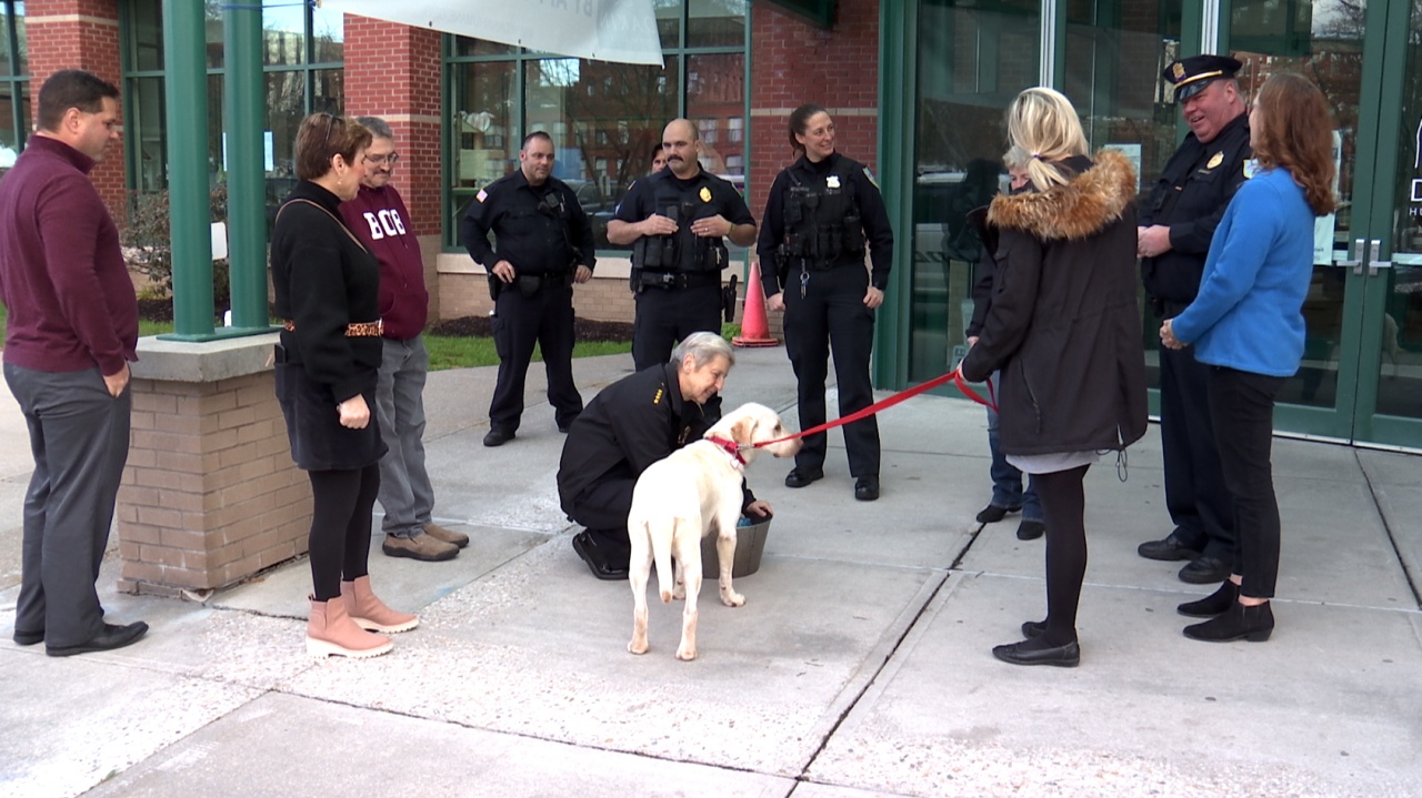 Cash raised by Mayor, Superintendent, Sheriff superstar bartending donated to Dakin Humane Society