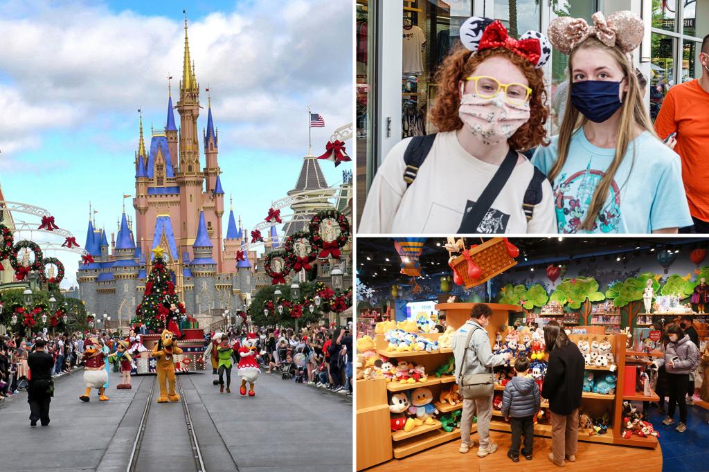 Households go into debt to finance journey to Disney World: research