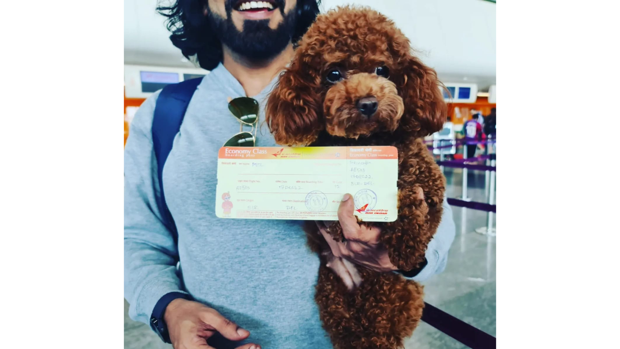 ‘Depart the pet and go’: Bengaluru household’s pet issued move to get onboard, denied boarding later by Air India