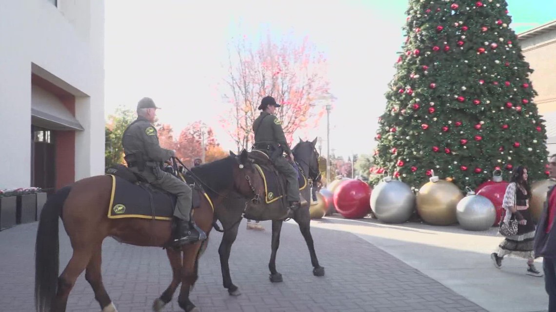 Improved security measures in place on the Roseville Galleria for vacation purchasing season