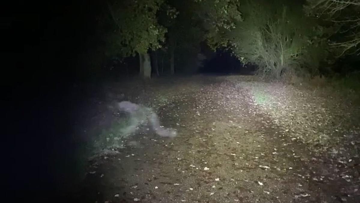 ‘Demon ghost’ footage captured in Clumber Park in Britain as pub house owners stroll canines: ‘No logical rationalization’