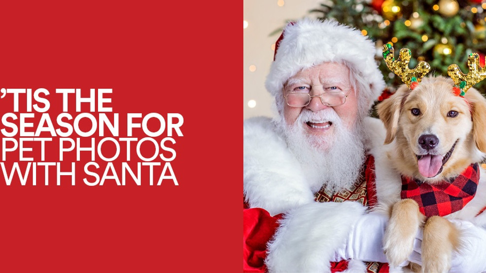 Pets can get their image with Santa Claus in Springfield – newschannel20.com