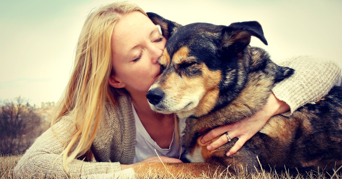 Assessment Suggests Counselors Take the Demise of Pets Extra Significantly