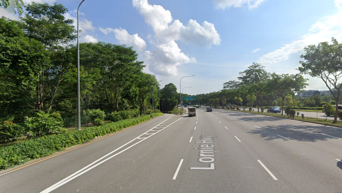 Man arrested for drink driving after bicycle owner killed in hit-and-run alongside Adam Highway