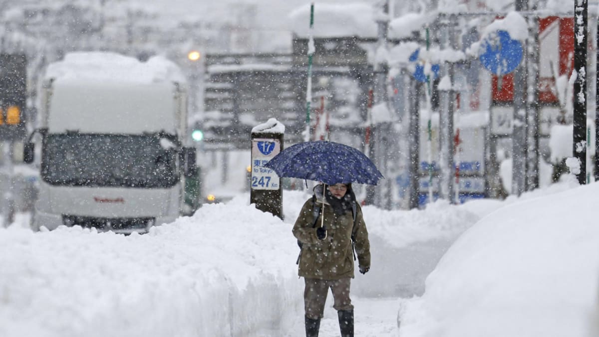 Heavy snow in Japan causes blackouts in Hokkaido, flight cancellations and prepare delays: Stories