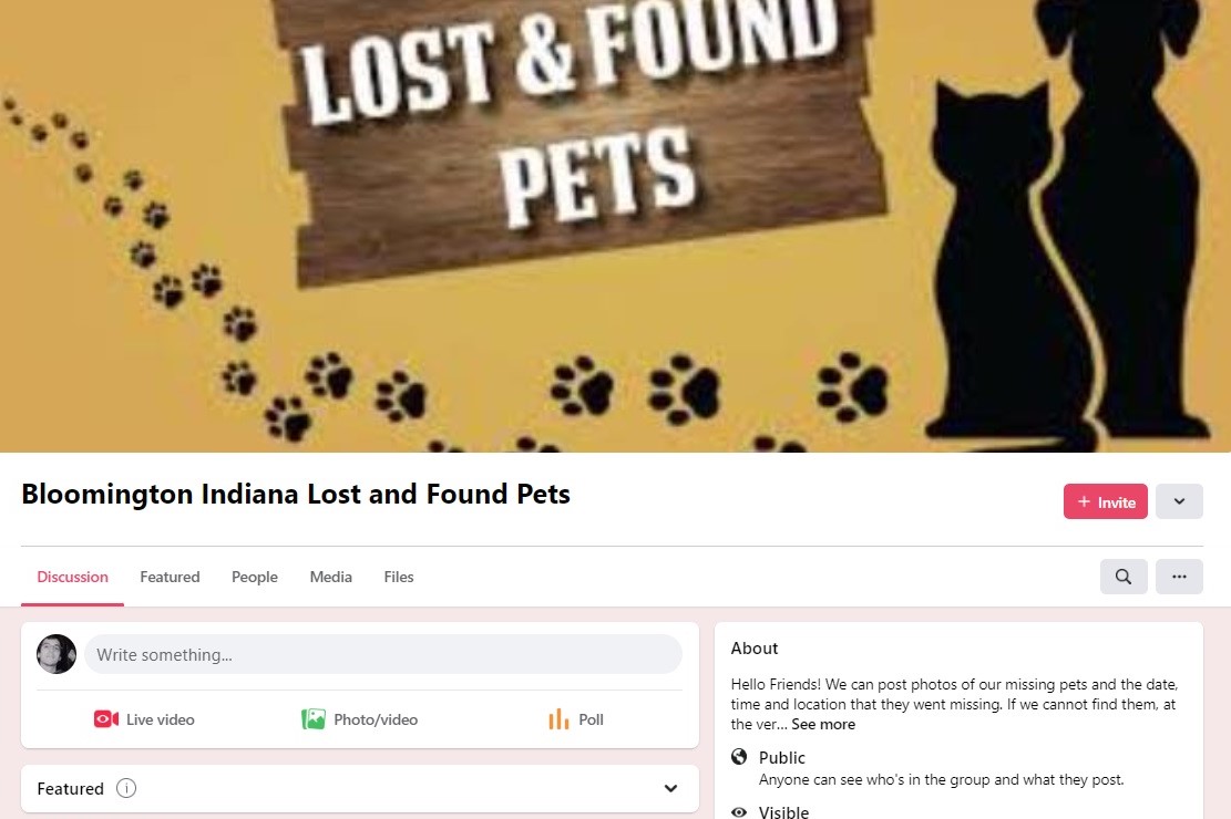 Bloomingtonians use Fb group to seek out misplaced pets | information