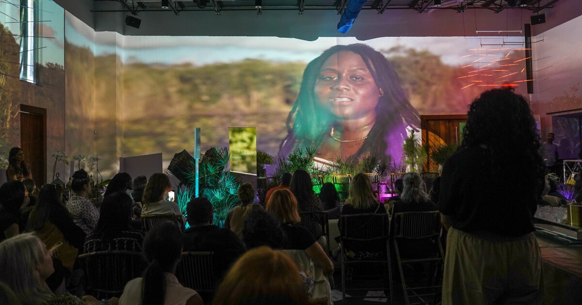 Immersive set up exhibits we’re ‘all a part of’ the Everglades