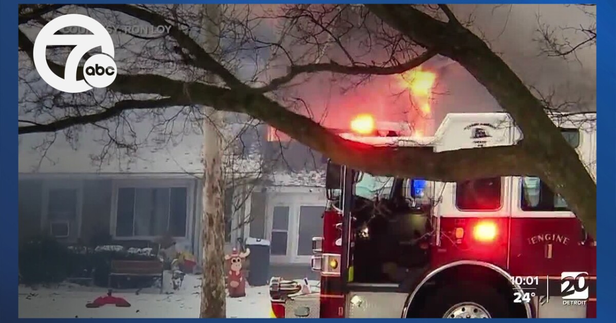 Teen saves house owner and eight pets from home hearth in Chesterfield Township