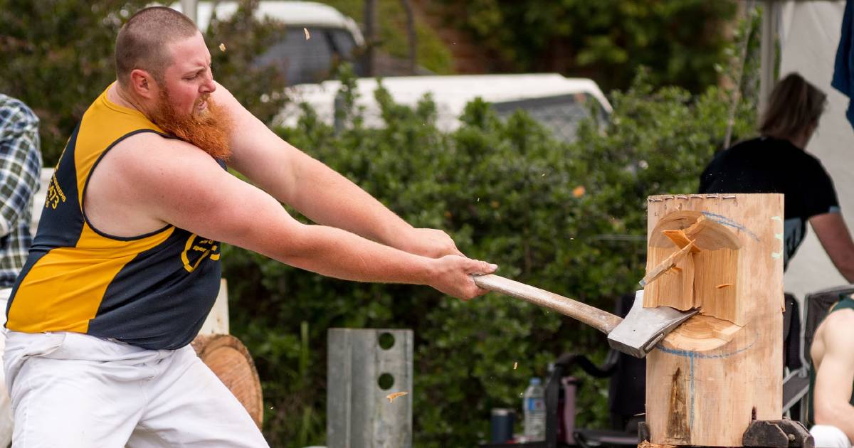 Mitch Argent and Kody Steers victorious at Exeter Woodchopping … – The Examiner