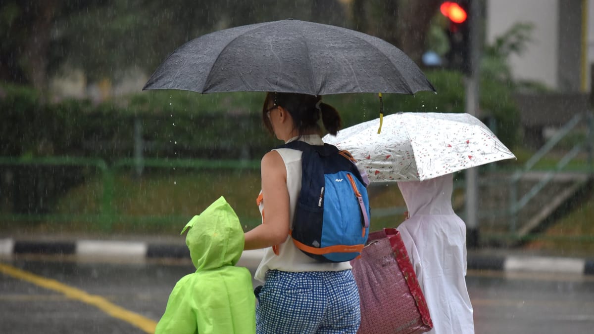 Moist and funky climate anticipated in second half of December: Met Service