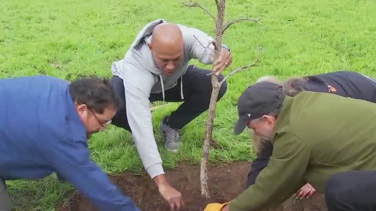 Austin FC, TreeFolks plant bushes at Austin Pets Alive