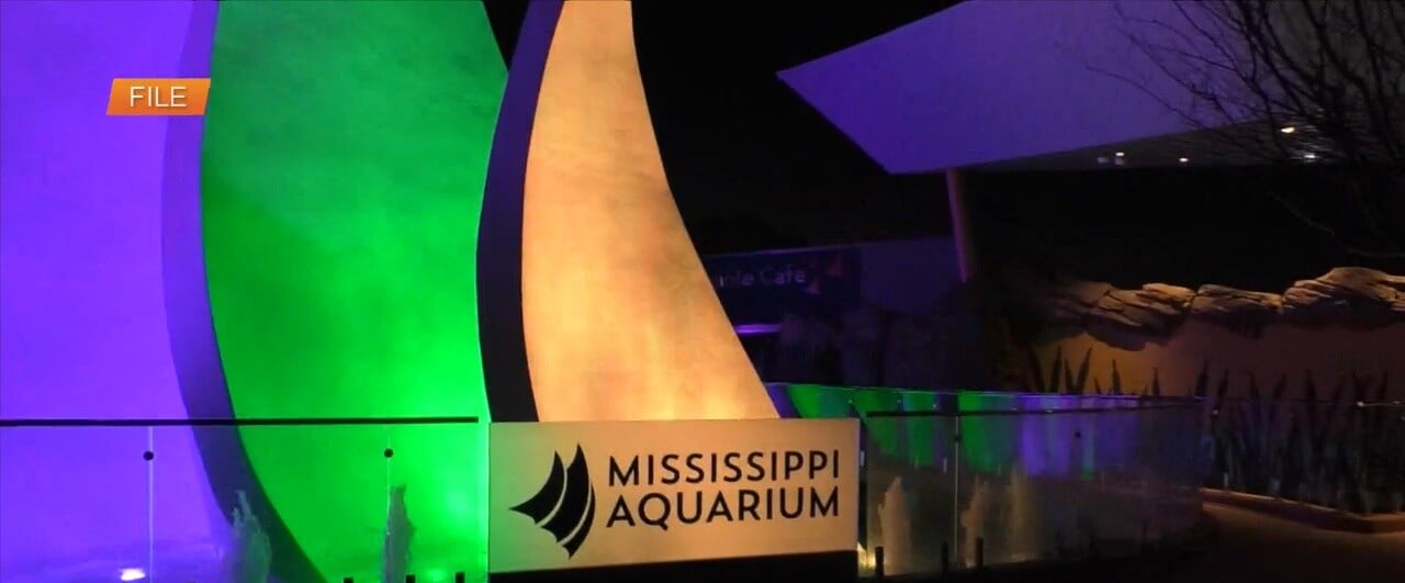 Mississippi Aquarium becoming a member of in on Carnival festivities – WXXV Information 25