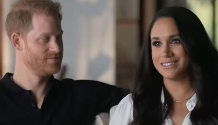 Prince Harry, Meghan Markle solely good for ‘saturating the market with gossip’