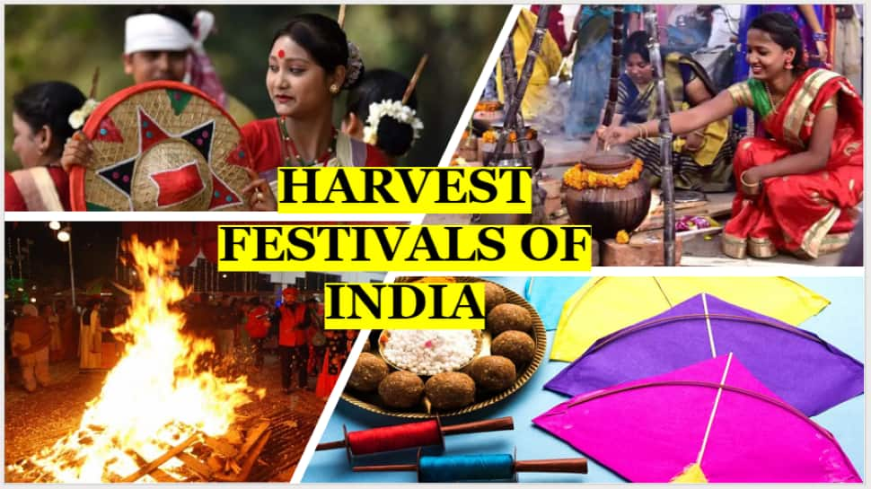 From Pongal to Lohri: Movie star nutritionist Rujuta Diwekar’s information to seasonal consuming this harvest season | Tradition Information