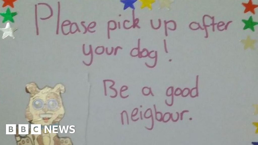 Manx youngsters's posters urge canine homeowners to wash up after pets – BBC