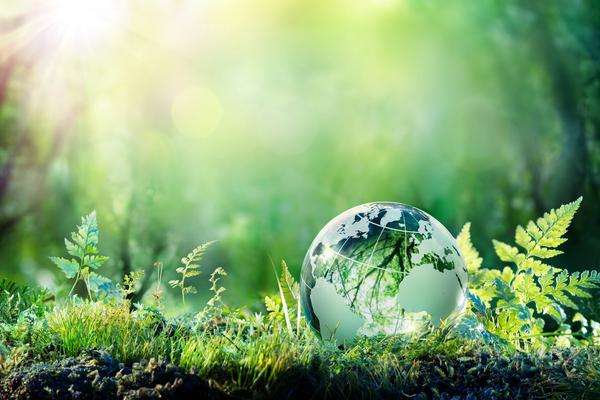 How Corporations Are Stepping Up Sustainable Journey in 2023