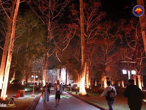 Laos Kapok Competition attracts within the crowds to admire timber in bloom