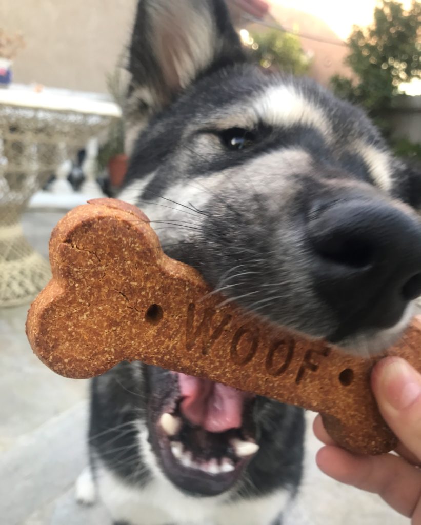 Traits and Merchandise: Wholesome Pet Treats