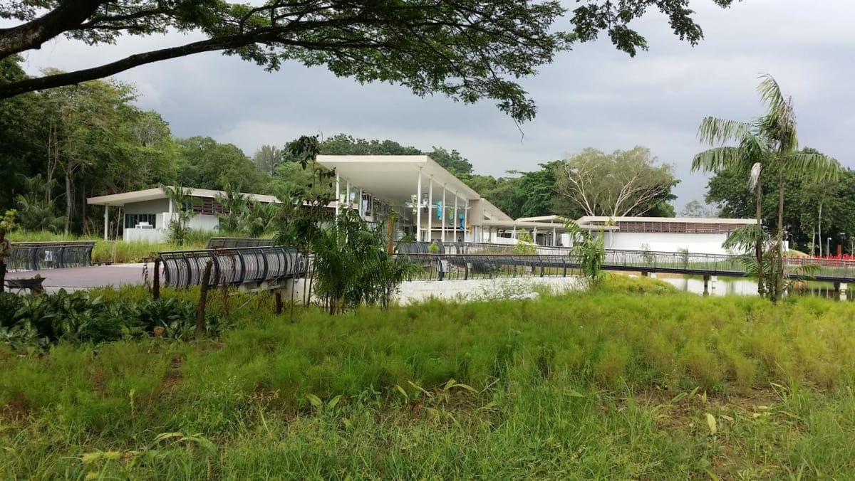 Man and 2-year-old daughter fall into gap in bridge at Sungei Buloh Wetland Reserve; NParks might shut some areas if flooding happens