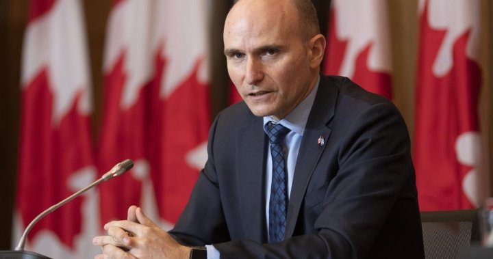 Transferring public well being providers to for-profit clinics raises ‘reputable considerations’: Duclos