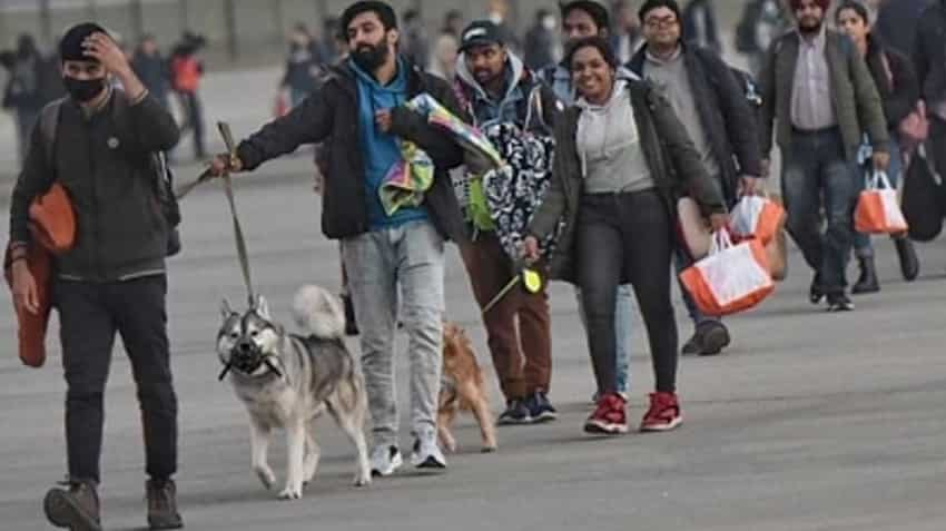 Formulate coverage on carrying pets on flights, DGCA to airways