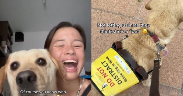 ‘You can not see proper?’ Paralympic swimmer Sophie Quickly and information canine stopped by live performance safety with ‘irrelevant’ query, Singapore Information