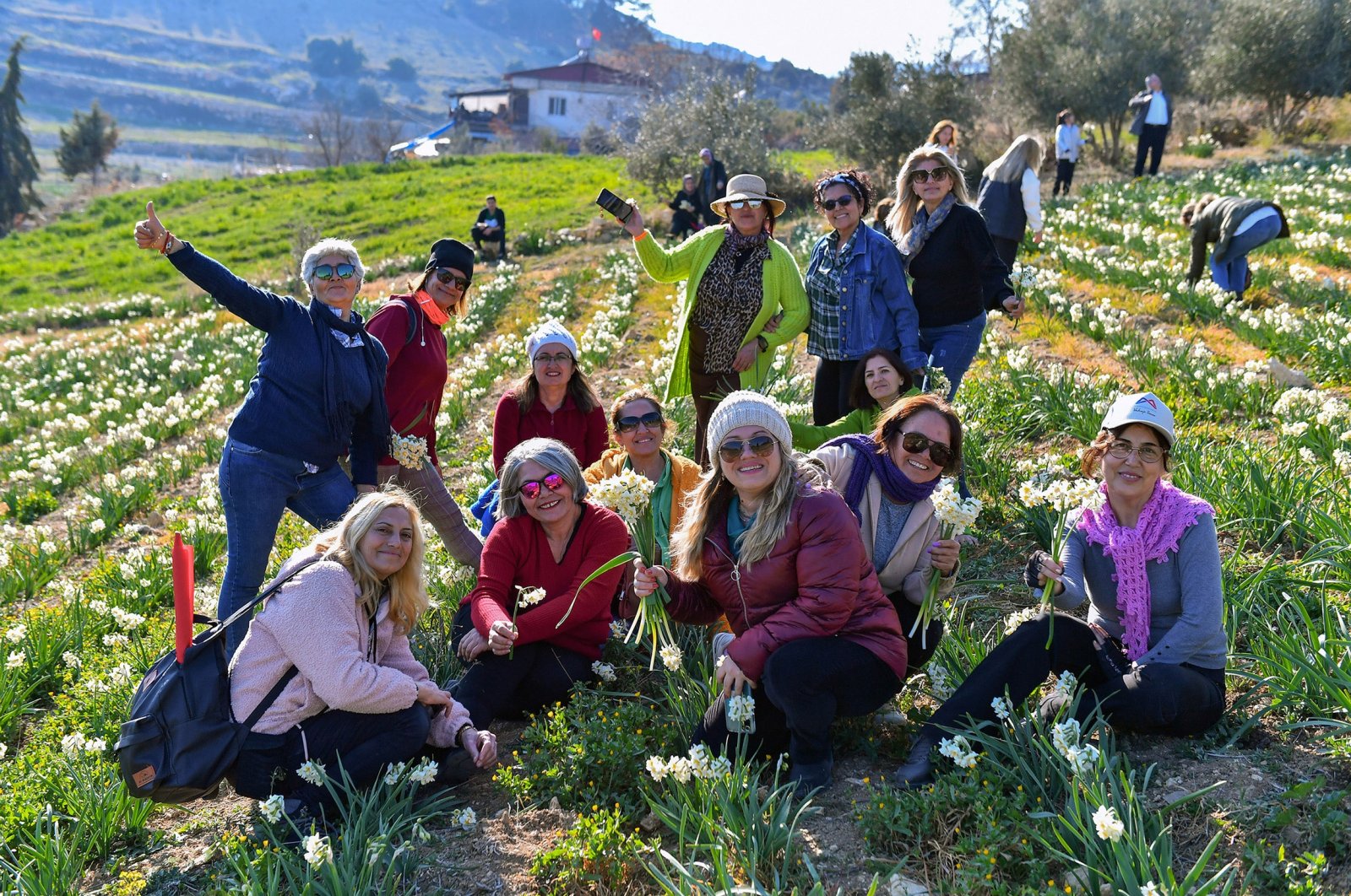 Türkiye blossoms with Mersin, Izmir daffodil festivals