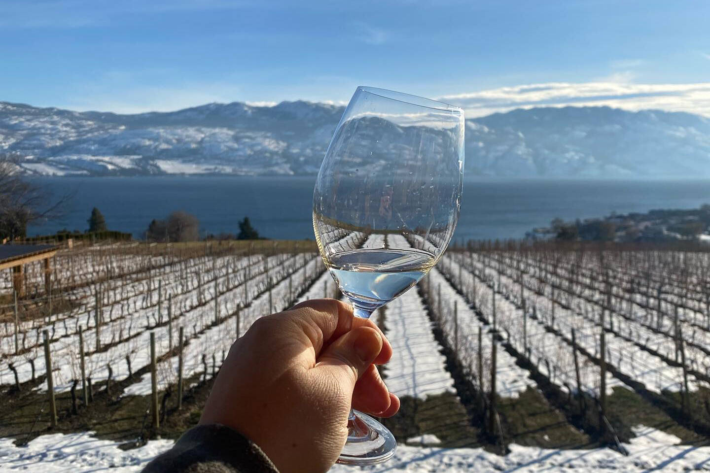 Winter Wine Pageant coming to the Okanagan this January