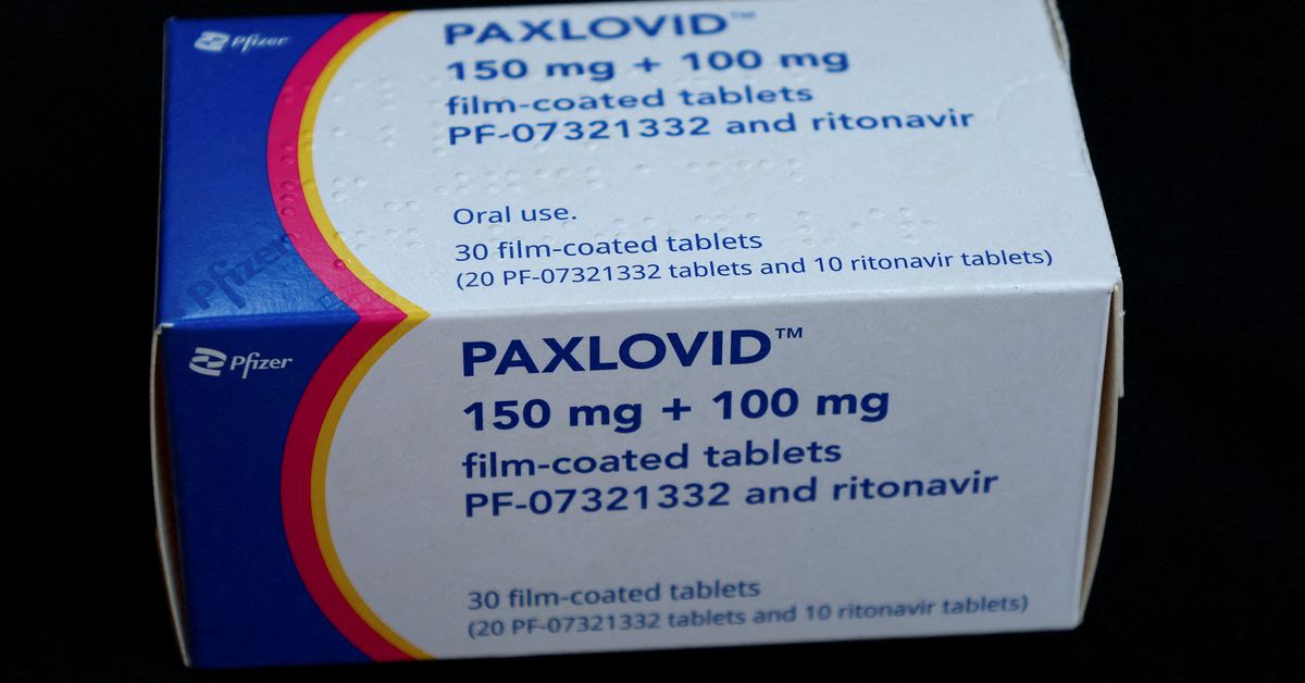 Chinese language well being knowledgeable: native manufacturing of Paxlovid ought to be capable to begin quickly