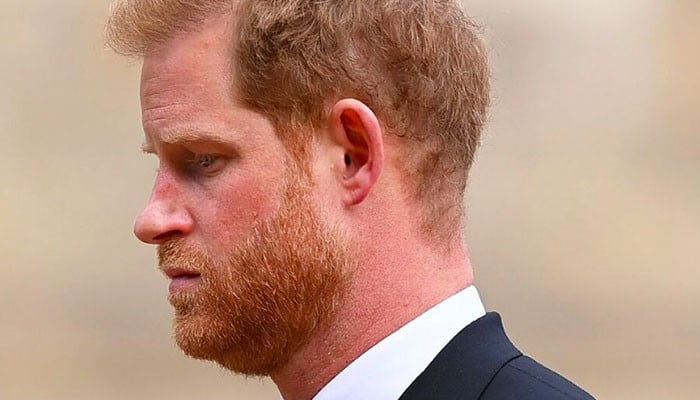 AI bot breaks down Prince Harry’s ‘true feelings’