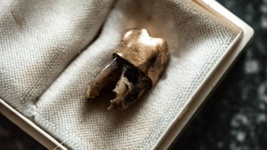 The 60-year, 4,000-mile journey house of Lumumba’s tooth