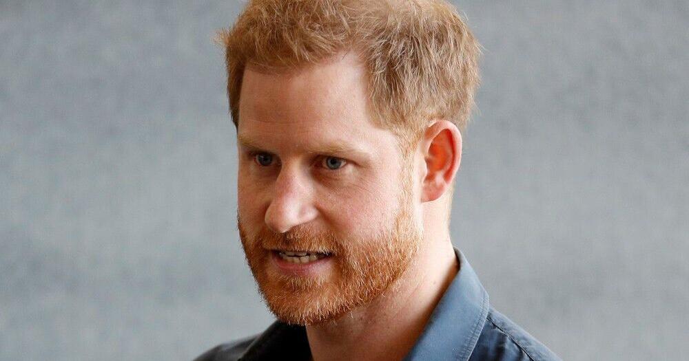 Royal biographer ‘perplexed’ by Prince Harry’s memoir | Leisure