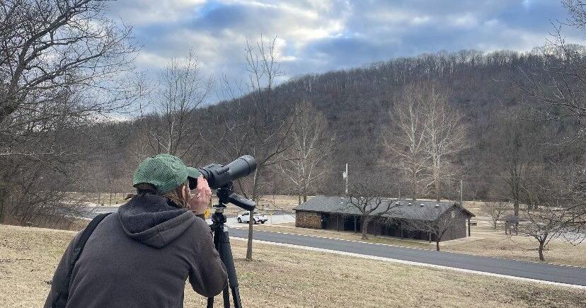 Eagle watchers collect at Roaring River State Park | Life-style