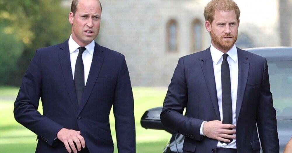 Prince Harry: William needed me to hit him again | Leisure