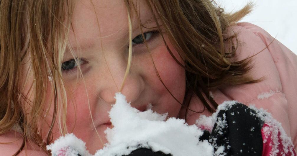 Sledding in contemporary snow | Human Curiosity | unionleader.com – The Union Chief