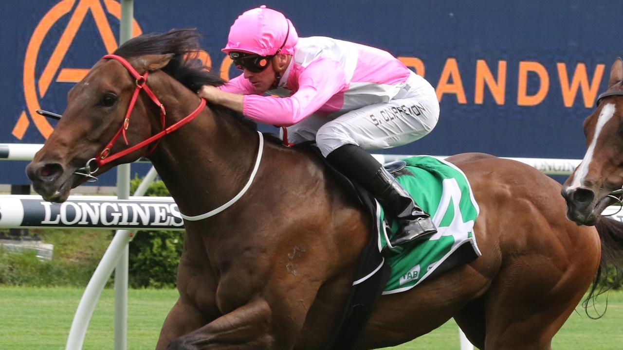 Dehorned Unicorn is about to proceed his sizzling summer time type at Rosehill