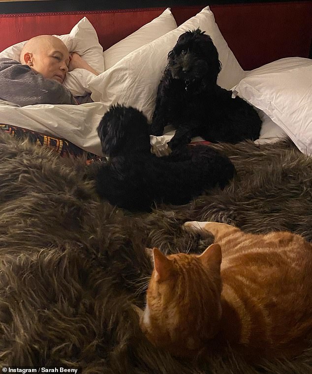 Sarah Beeny curls up in mattress along with her pets amid most cancers battle