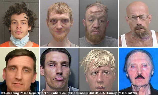 Criminals who appear like celebrities: From Harry Kinds’ doppleganger to a Bryan Cranston lookalike