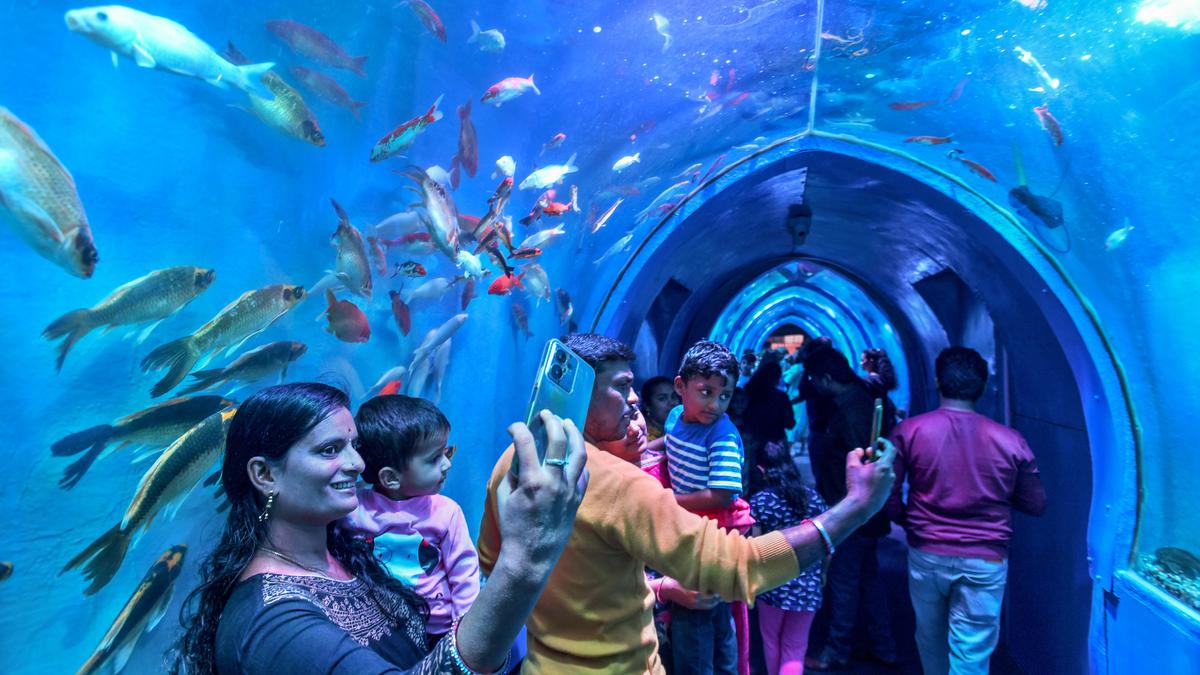 A peep into the 200-foot-long cell underwater fish aquarium in Visakhapatnam