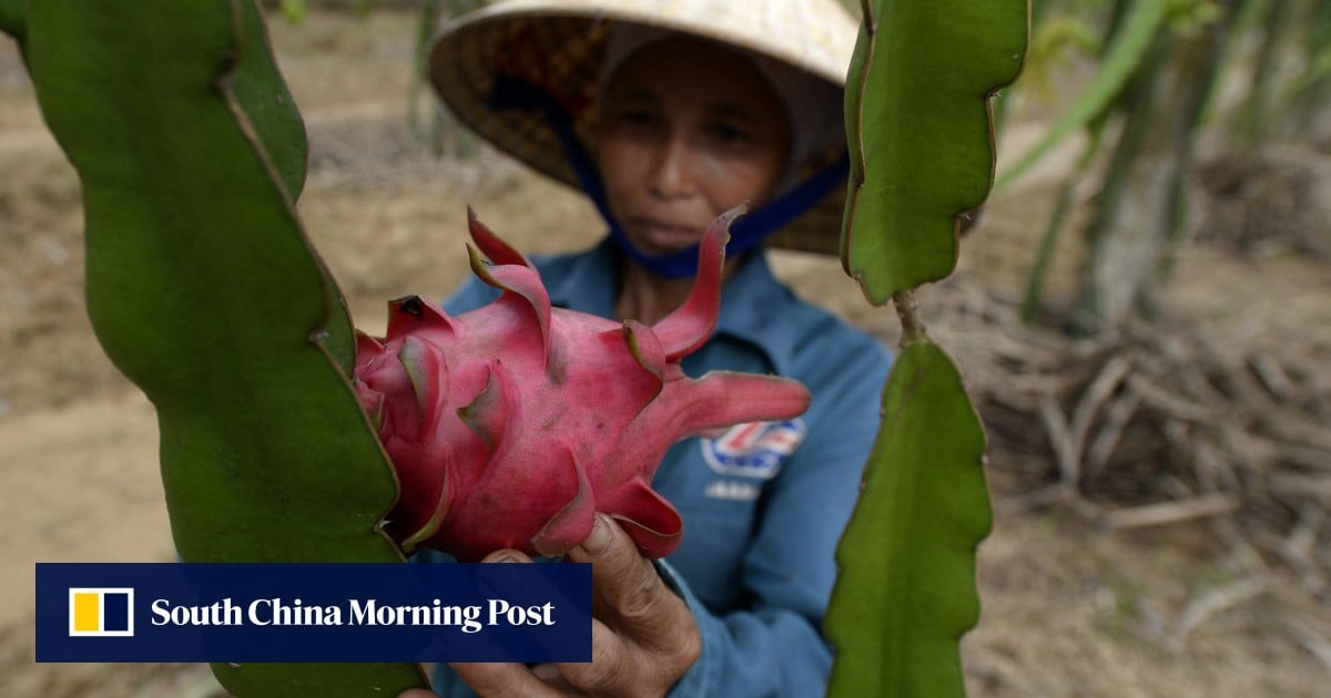 What had been the highest 10 most learn China financial system tales of 2022? – South China Morning Put up